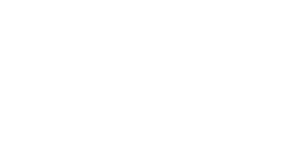 wm-technics
